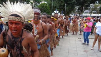 Why a Synod on Amazonia?